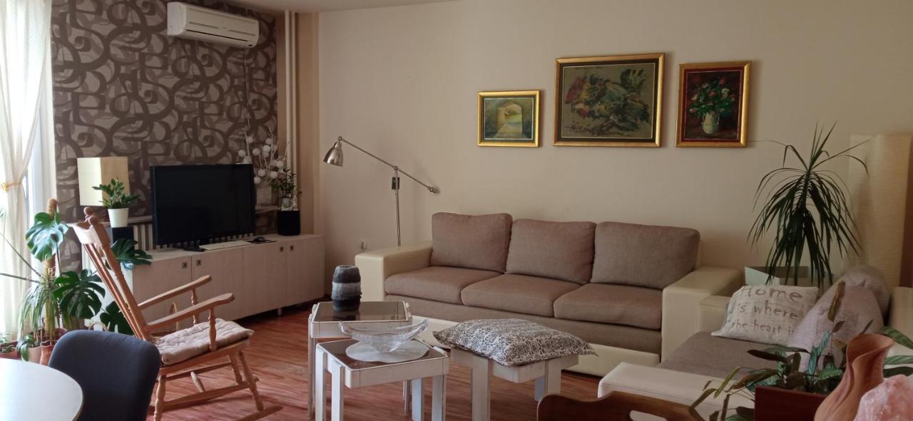 Branysol Apartman Novi Sad Exterior foto