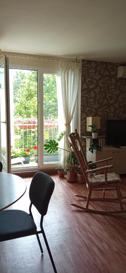 Branysol Apartman Novi Sad Exterior foto